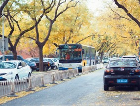 港媒报道，春节中国跨境出行迎来新高潮