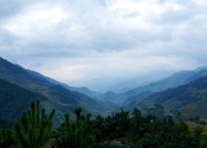 湘西北暴雨引发桑植等地严重灾情