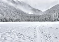 湖南雪舞纷飞，大米般的美丽奇迹天降人间